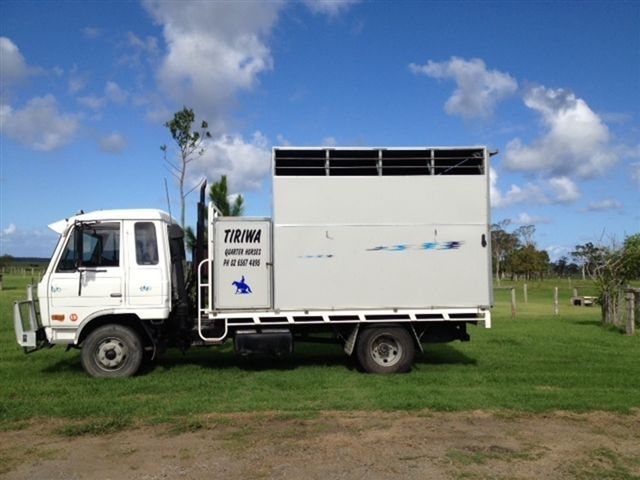 1993 Nissan UD CM 160 3 Horse Truck Horse Transport for sale NSW Kinchela