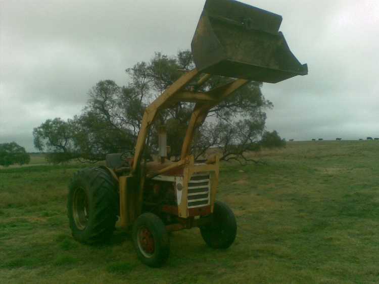 International A554 Tractor for sale SA Parrakie South Australia