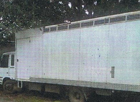 1988 International 11600 Series 6 Horse Truck for sale SA