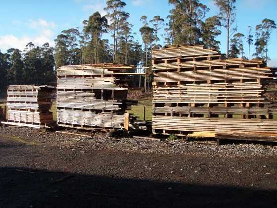 Specialty Tasmanian Timber Business for sale TAS Elizabeth Town