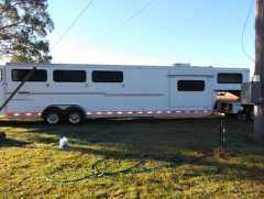 Horse Transport for sale NSW Shadow 5 Horse Gooseneck Trailer