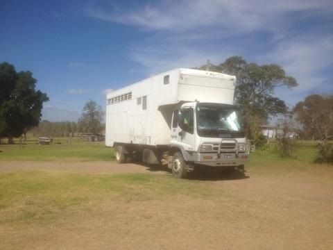 Isuzu 900 Long 6 Horse Truck Horse Transport for sale NSW Dumgog