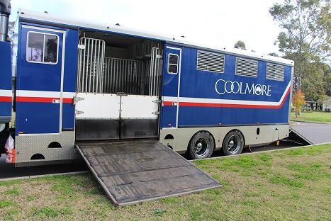 Horse Transport 9 Horse Truck Body for sale NSW