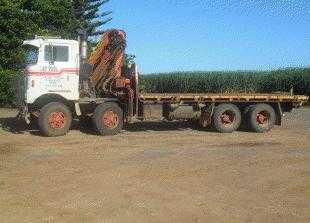 Truck for sale QLD Leader Truck and Mack Tip Truck