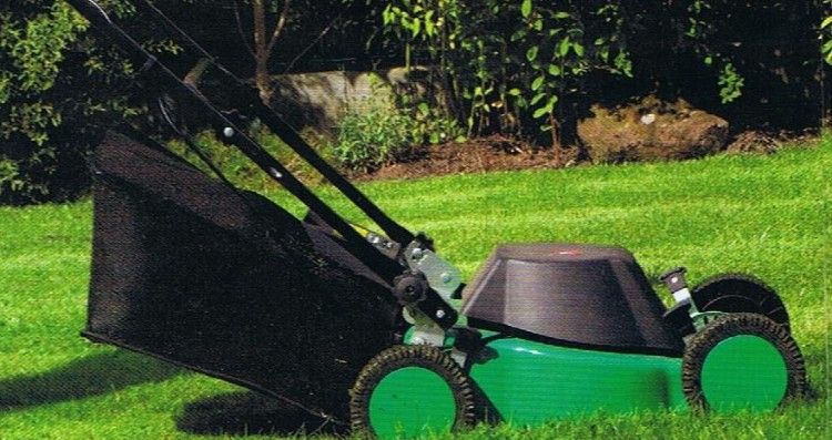 House Cleaning and Lawn Maintenance Business for sale QLD Dysart