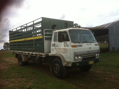 Cattle Crate on Isuzu JCR 500 Truck for sale NSW