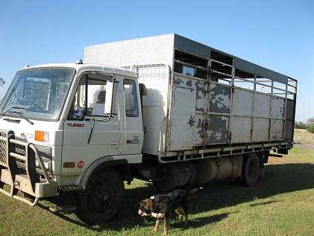 Truck for sale QLD CLG88 Turbo UD Nissan Truck